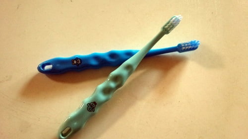猫の歯ブラシ