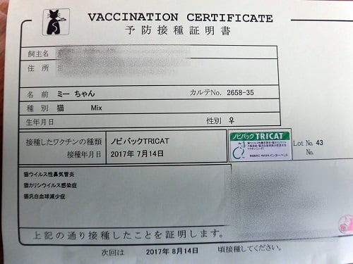 予防接種の料金表