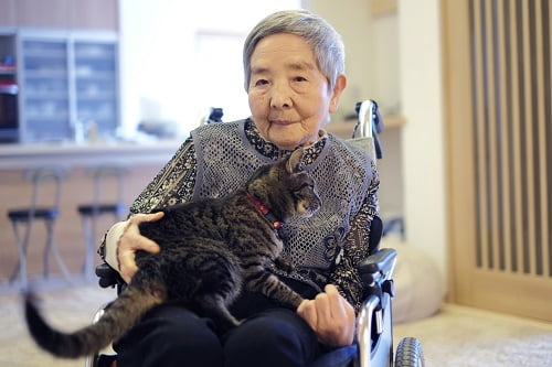 猫を抱くおばあちゃん